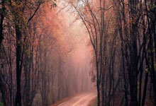 杭州文旅：中澳之战直接带动杭州旅游消费3.08亿元.