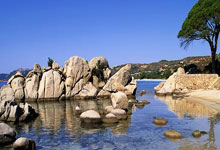 黑白体育官网：中超：成都蓉城队1-0力克武汉三镇队.